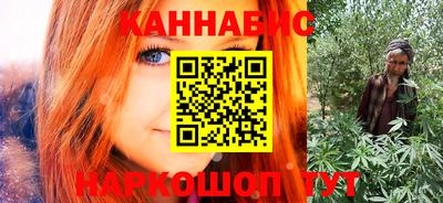 Альфа ПВП Можга