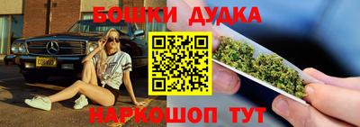Альфа ПВП Можга
